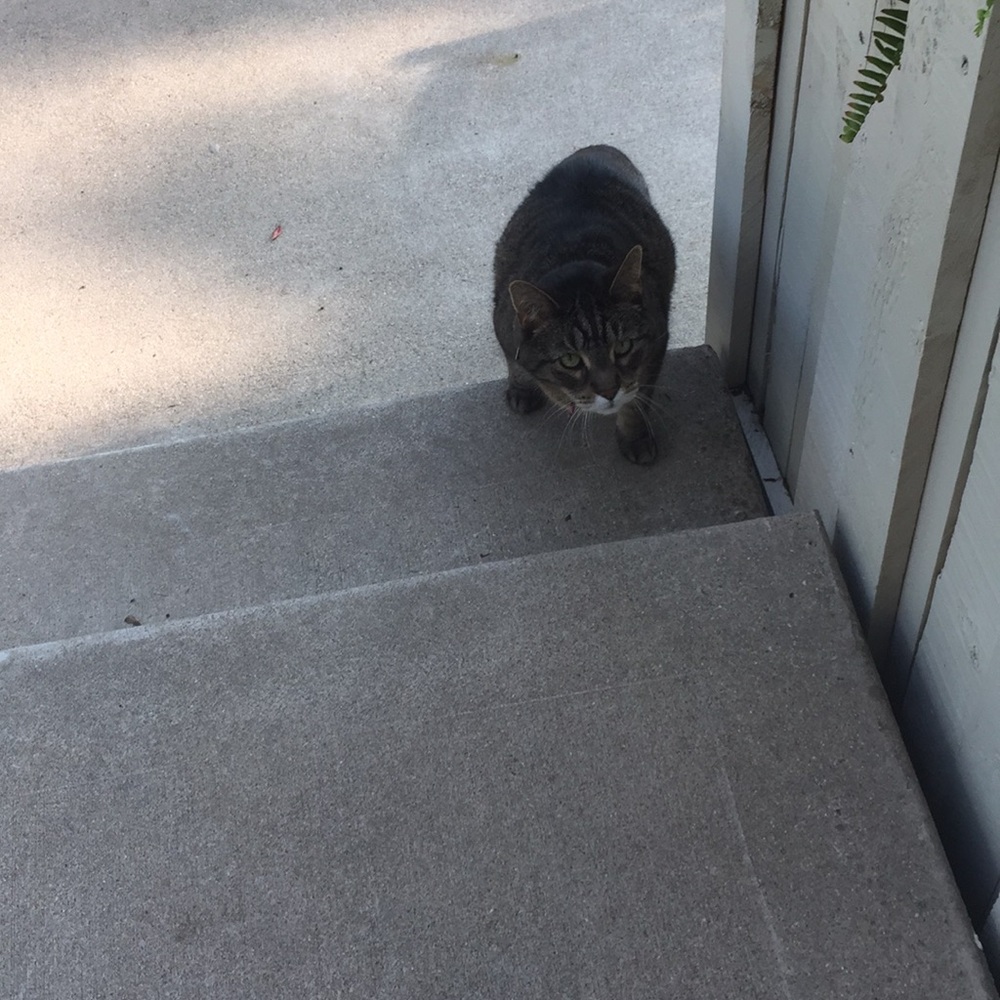 Meet your Posher, Lorna